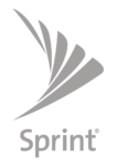 spint-logo